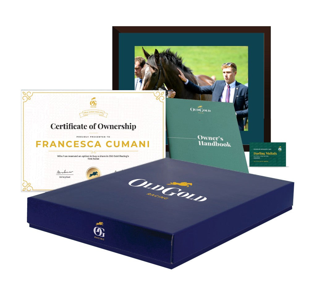 Old Gold Standard Welcome Pack to Gift Of Gold