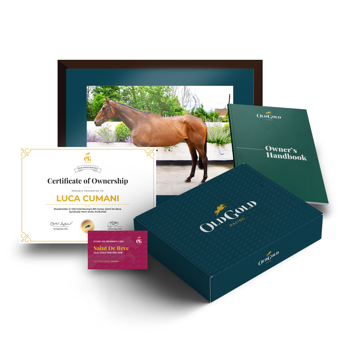 Digital Welcome Pack upgrade to Gift Of Gold