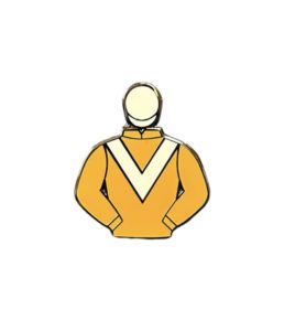 Old Gold Racing Silks Pin