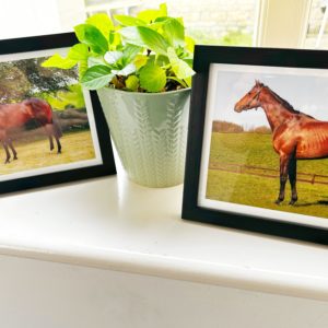 Framed Photo