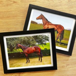 Framed Photo